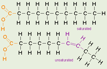 The chemical structure of saturated, and unsaturated fats. Picture by http://biologyclermont.info/